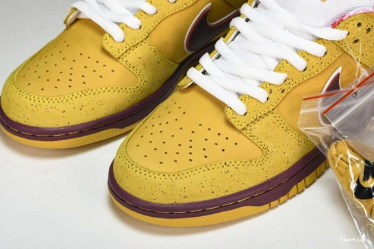 313170-137566 Dunk Yellow SB  Lobster Nike Low 1116